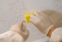 7 cách làm sạch tường nhà bị mốc đơn giản và nhanh chóng