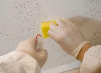 7 cách làm sạch tường nhà bị mốc đơn giản và nhanh chóng