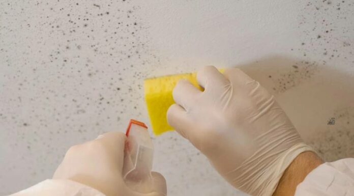 7 cách làm sạch tường nhà bị mốc đơn giản và nhanh chóng